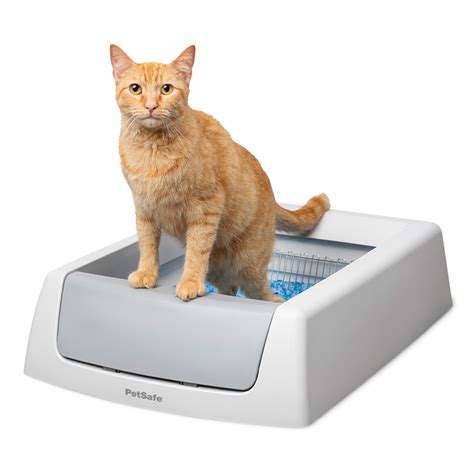 electric self cleaning litter box|scoopfree self cleaning litter box.